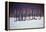 Winescape, Champagne, 2003-Lincoln Seligman-Framed Premier Image Canvas