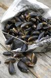 Mussels in Newspaper-Winfried Heinze-Photographic Print