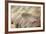 Wing Feathers of Senegal Bustard-Darrell Gulin-Framed Photographic Print