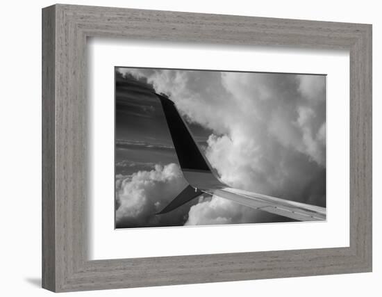 Wing Number 4-Steve Gadomski-Framed Photographic Print