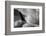 Wing Number 4-Steve Gadomski-Framed Photographic Print