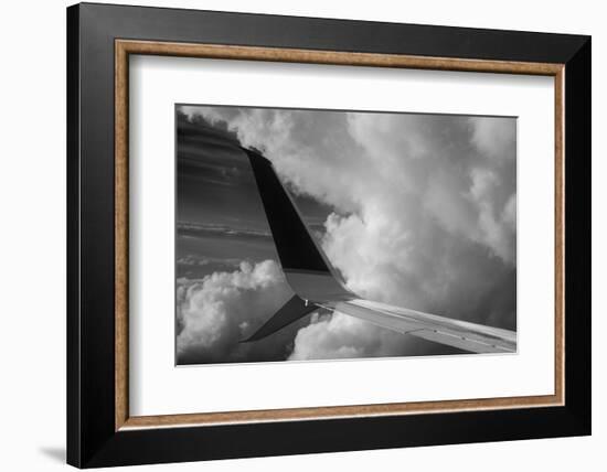 Wing Number 4-Steve Gadomski-Framed Photographic Print