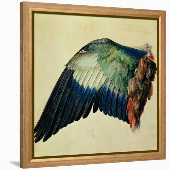 Wing of a Blue Roller, 1512-Albrecht Dürer-Framed Premier Image Canvas