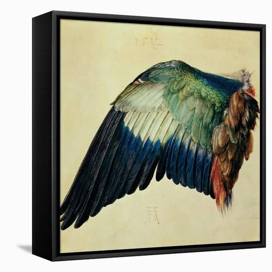 Wing of a Blue Roller, 1512-Albrecht Dürer-Framed Premier Image Canvas