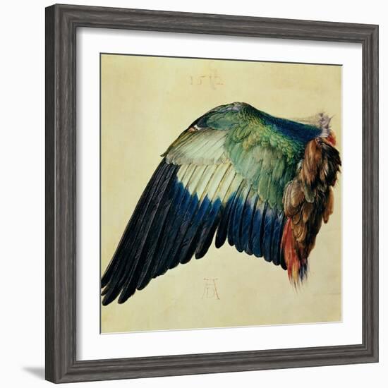 Wing of a Blue Roller, 1512-Albrecht Dürer-Framed Giclee Print