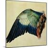 Wing of a Blue Roller, 1512-Albrecht Dürer-Mounted Giclee Print