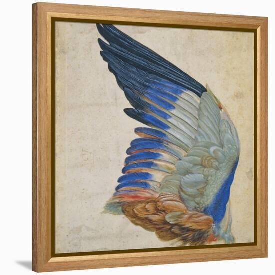 Wing of a Blue Roller, Copy of an Original by Albrecht Durer of 1512-Hans Hoffmann-Framed Premier Image Canvas