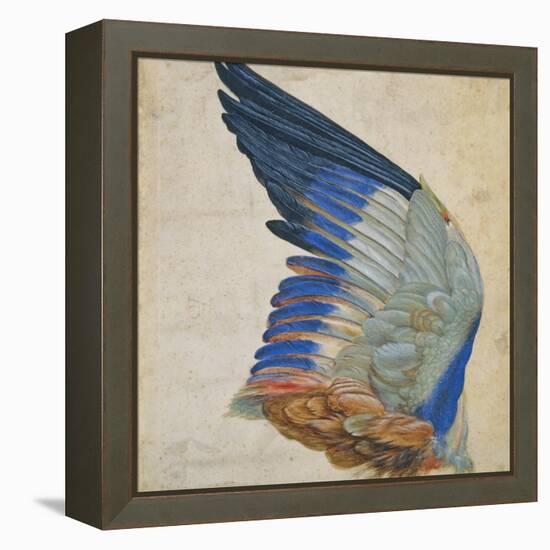 Wing of a Blue Roller, Copy of an Original by Albrecht Durer of 1512-Hans Hoffmann-Framed Premier Image Canvas
