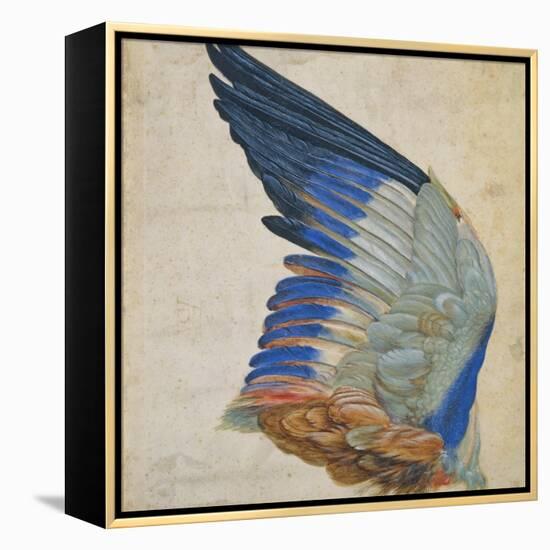 Wing of a Blue Roller, Copy of an Original by Albrecht Durer of 1512-Hans Hoffmann-Framed Premier Image Canvas