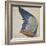 Wing of a Blue Roller, Copy of an Original by Albrecht Durer of 1512-Hans Hoffmann-Framed Giclee Print