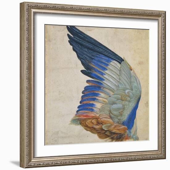 Wing of a Blue Roller, Copy of an Original by Albrecht Durer of 1512-Hans Hoffmann-Framed Giclee Print