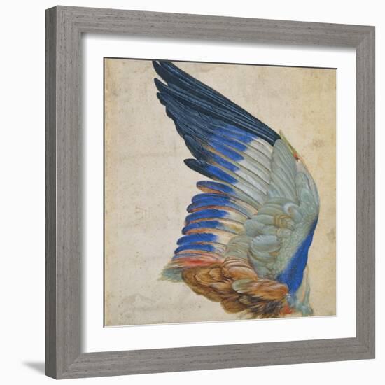 Wing of a Blue Roller, Copy of an Original by Albrecht Durer of 1512-Hans Hoffmann-Framed Giclee Print