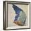 Wing of a Blue Roller, Copy of an Original by Albrecht Durer of 1512-Hans Hoffmann-Framed Giclee Print