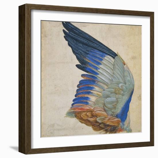 Wing of a Blue Roller, Copy of an Original by Albrecht Durer of 1512-Hans Hoffmann-Framed Giclee Print