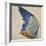 Wing of a Blue Roller, Copy of an Original by Albrecht Durer of 1512-Hans Hoffmann-Framed Giclee Print