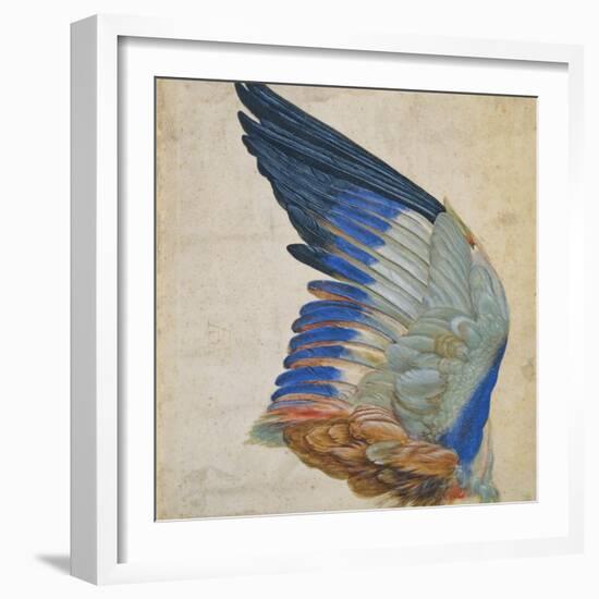 Wing of a Blue Roller, Copy of an Original by Albrecht Durer of 1512-Hans Hoffmann-Framed Giclee Print