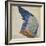 Wing of a Blue Roller, Copy of an Original by Albrecht Durer of 1512-Hans Hoffmann-Framed Giclee Print