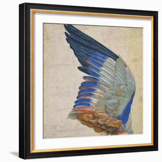 Wing of a Blue Roller, Copy of an Original by Albrecht Durer of 1512-Hans Hoffmann-Framed Giclee Print