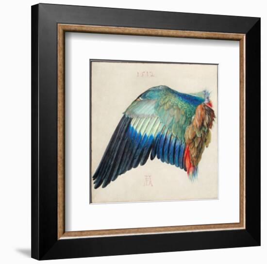 Wing of a Roller-Albrecht Dürer-Framed Collectable Print