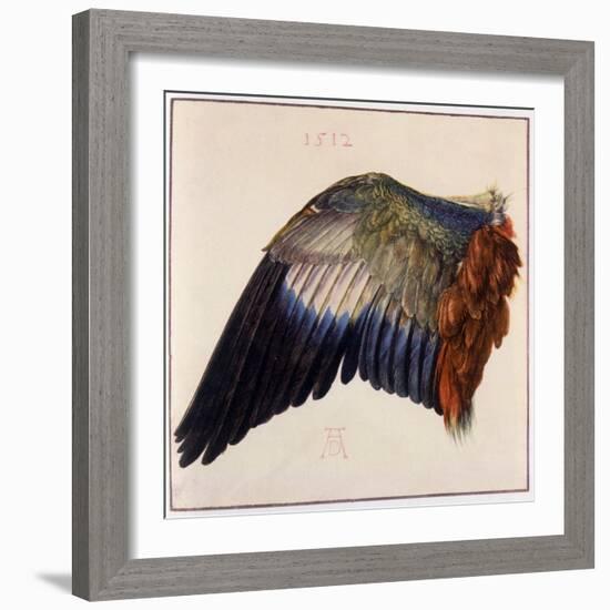 Wing-Albrecht Dürer-Framed Photographic Print