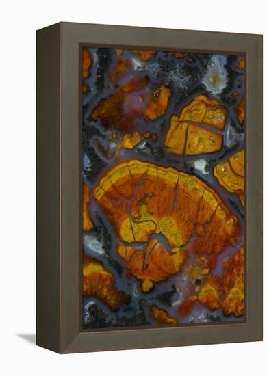 Wingate Pass Agate, Ca.-Darrell Gulin-Framed Premier Image Canvas