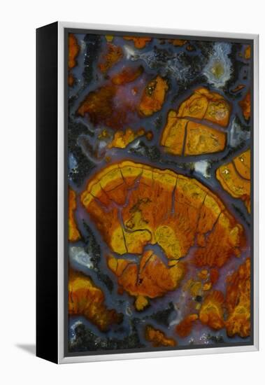 Wingate Pass Agate, Ca.-Darrell Gulin-Framed Premier Image Canvas