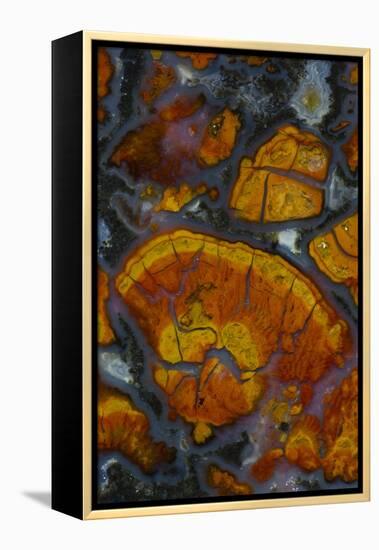 Wingate Pass Agate, Ca.-Darrell Gulin-Framed Premier Image Canvas