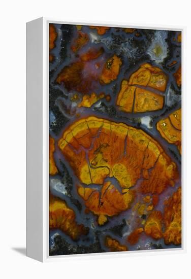 Wingate Pass Agate, Ca.-Darrell Gulin-Framed Premier Image Canvas