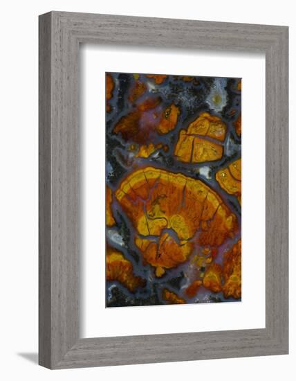 Wingate Pass Agate, Ca.-Darrell Gulin-Framed Photographic Print