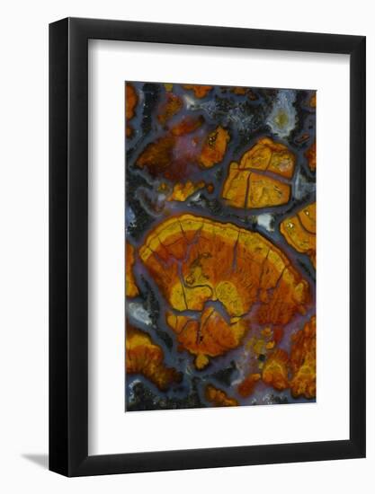 Wingate Pass Agate, Ca.-Darrell Gulin-Framed Photographic Print