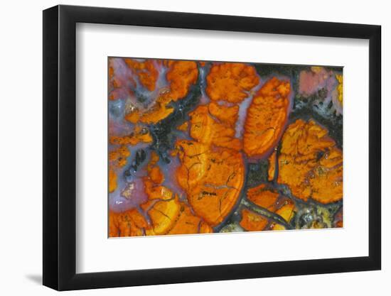 Wingate Pass Agate China Lake Military Reservation CA-Darrell Gulin-Framed Photographic Print
