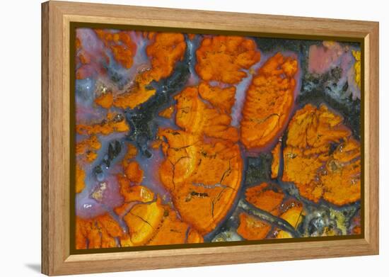 Wingate Pass Agate China Lake Military Reservation CA-Darrell Gulin-Framed Premier Image Canvas