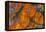 Wingate Pass Agate China Lake Military Reservation CA-Darrell Gulin-Framed Premier Image Canvas