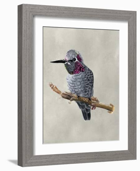 Winged Beauty IV-Naomi McCavitt-Framed Art Print