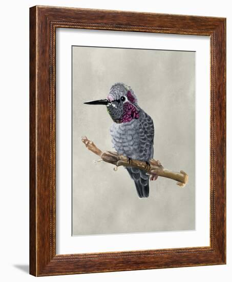 Winged Beauty IV-Naomi McCavitt-Framed Art Print