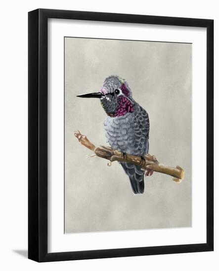 Winged Beauty IV-Naomi McCavitt-Framed Art Print