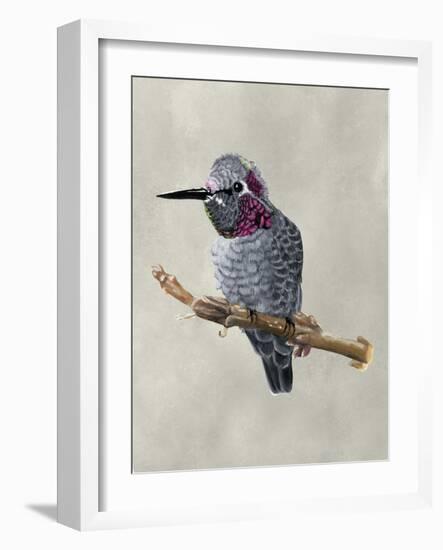 Winged Beauty IV-Naomi McCavitt-Framed Art Print