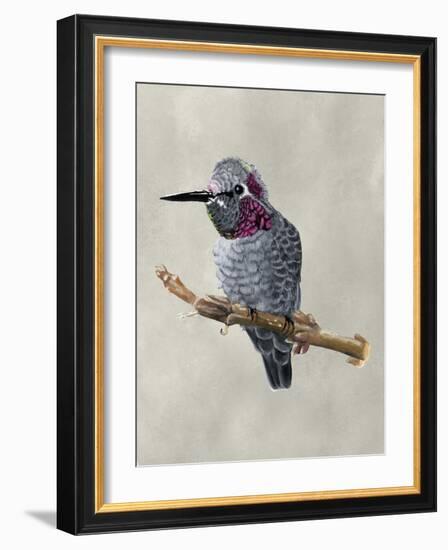 Winged Beauty IV-Naomi McCavitt-Framed Art Print