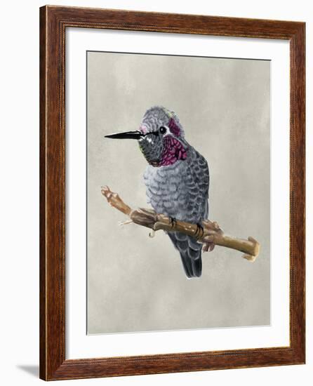 Winged Beauty IV-Naomi McCavitt-Framed Art Print