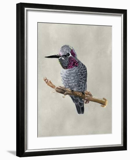 Winged Beauty IV-Naomi McCavitt-Framed Art Print