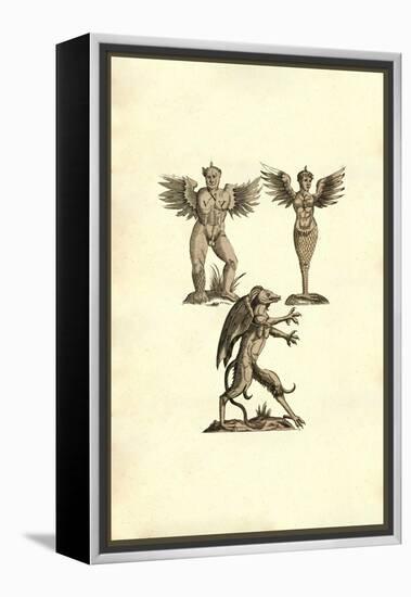 Winged Creatures-Ulisse Aldrovandi-Framed Stretched Canvas