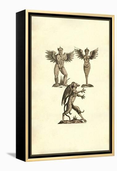 Winged Creatures-Ulisse Aldrovandi-Framed Stretched Canvas