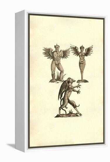 Winged Creatures-Ulisse Aldrovandi-Framed Stretched Canvas