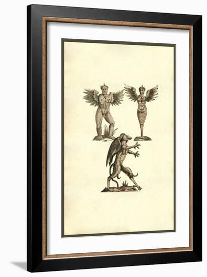 Winged Creatures-Ulisse Aldrovandi-Framed Art Print