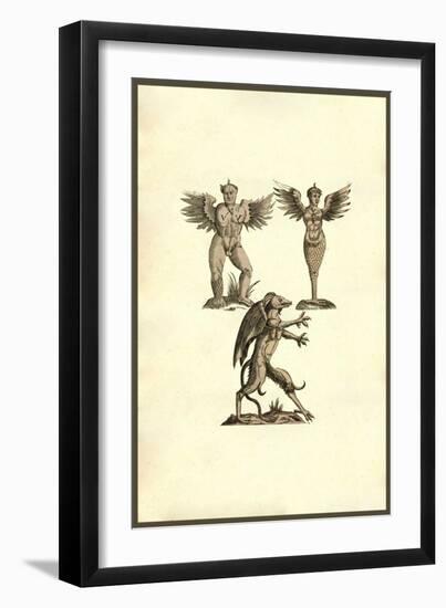 Winged Creatures-Ulisse Aldrovandi-Framed Art Print