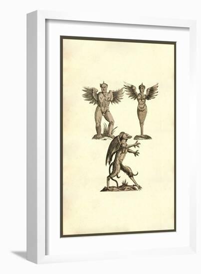 Winged Creatures-Ulisse Aldrovandi-Framed Art Print