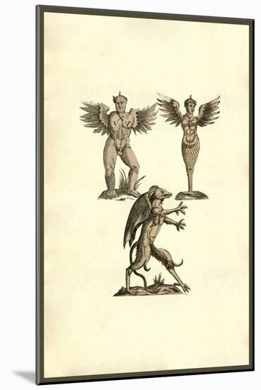 Winged Creatures-Ulisse Aldrovandi-Mounted Art Print