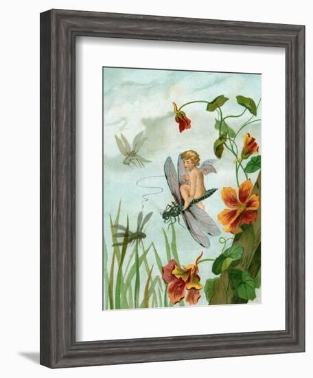 Winged Fairy Riding a Dragonfly Near Nasturtium Flowers, 1882-null-Framed Giclee Print