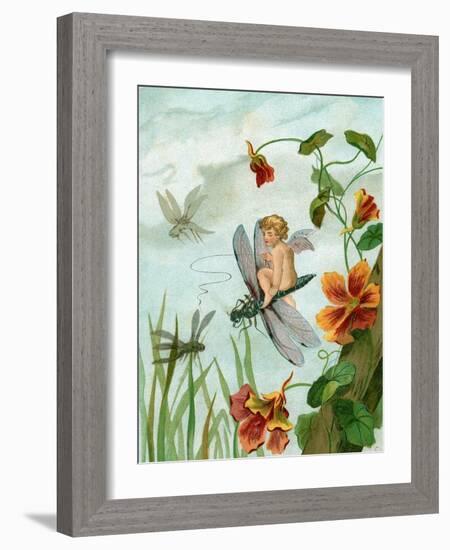 Winged Fairy Riding a Dragonfly Near Nasturtium Flowers, 1882-null-Framed Giclee Print