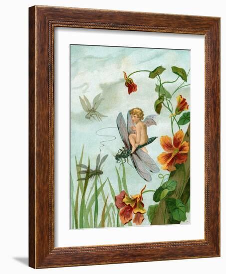 Winged Fairy Riding a Dragonfly Near Nasturtium Flowers, 1882-null-Framed Giclee Print